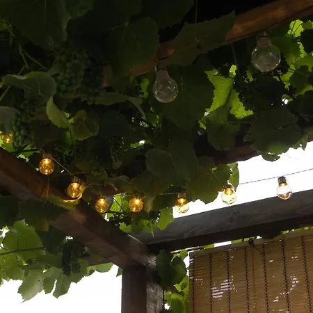 Semesterbostad Hillside Kruna