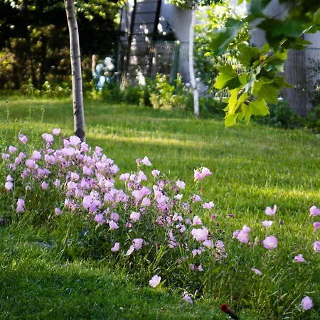 Hillside Kruna Semesterbostad